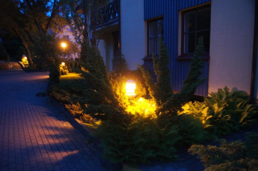 Guest House Vasara Nida Δωμάτιο φωτογραφία